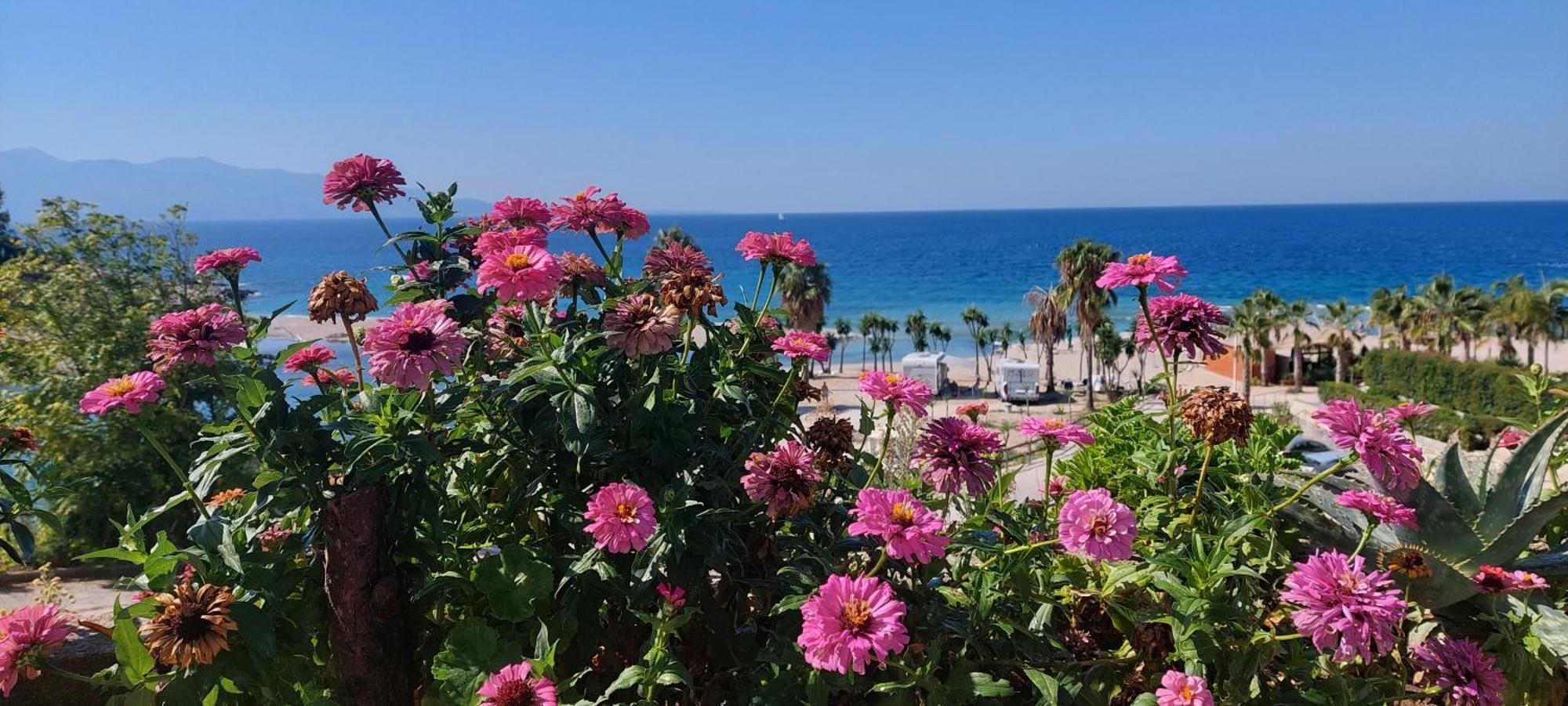 Apartment Tinka In Saranda Luaran gambar